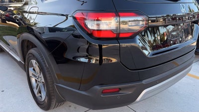 2024 Honda Pilot EX-L 8 Passenger