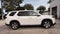 2024 Honda Pilot EX-L 7 Passenger