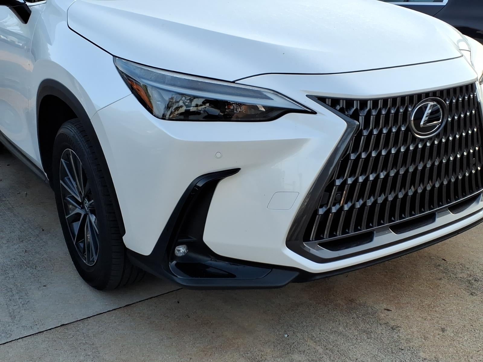 2024 Lexus NX 250 250 Premium