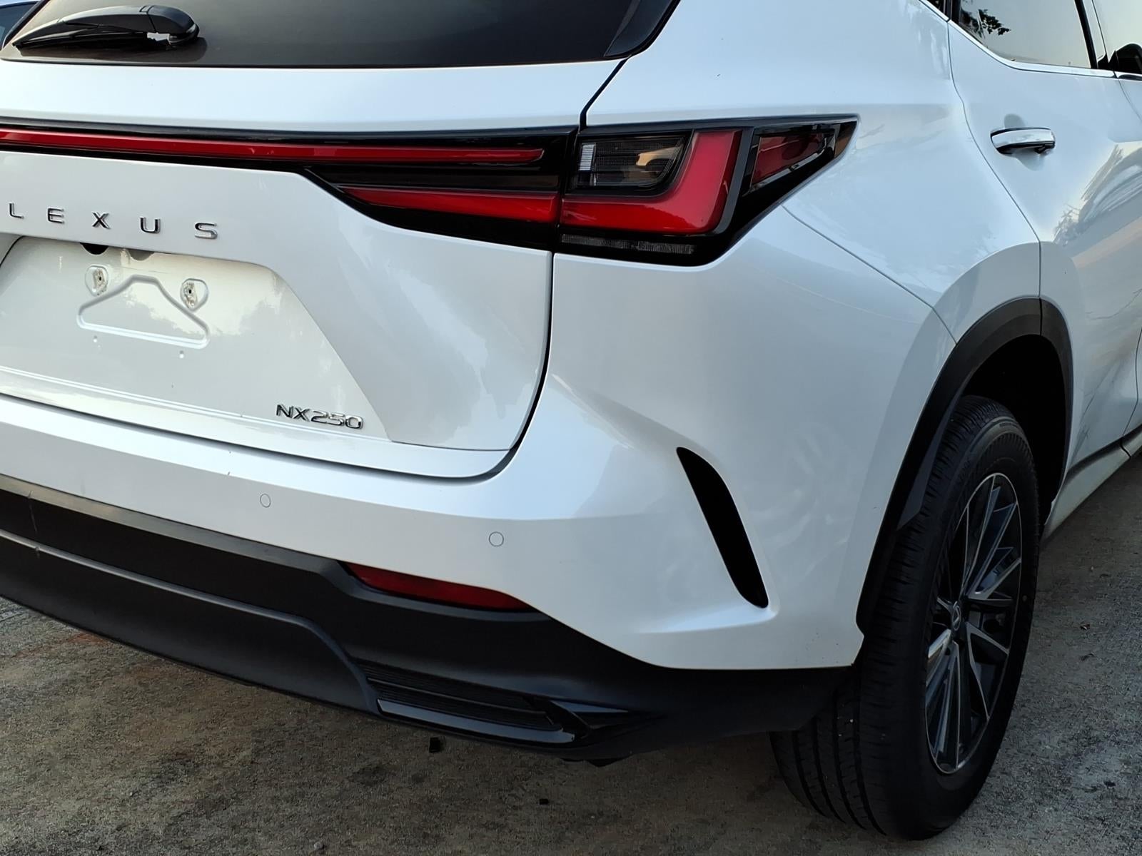 2024 Lexus NX 250 250 Premium