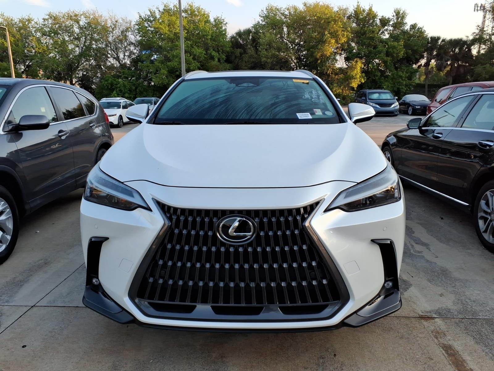 2024 Lexus NX 250 250 Premium