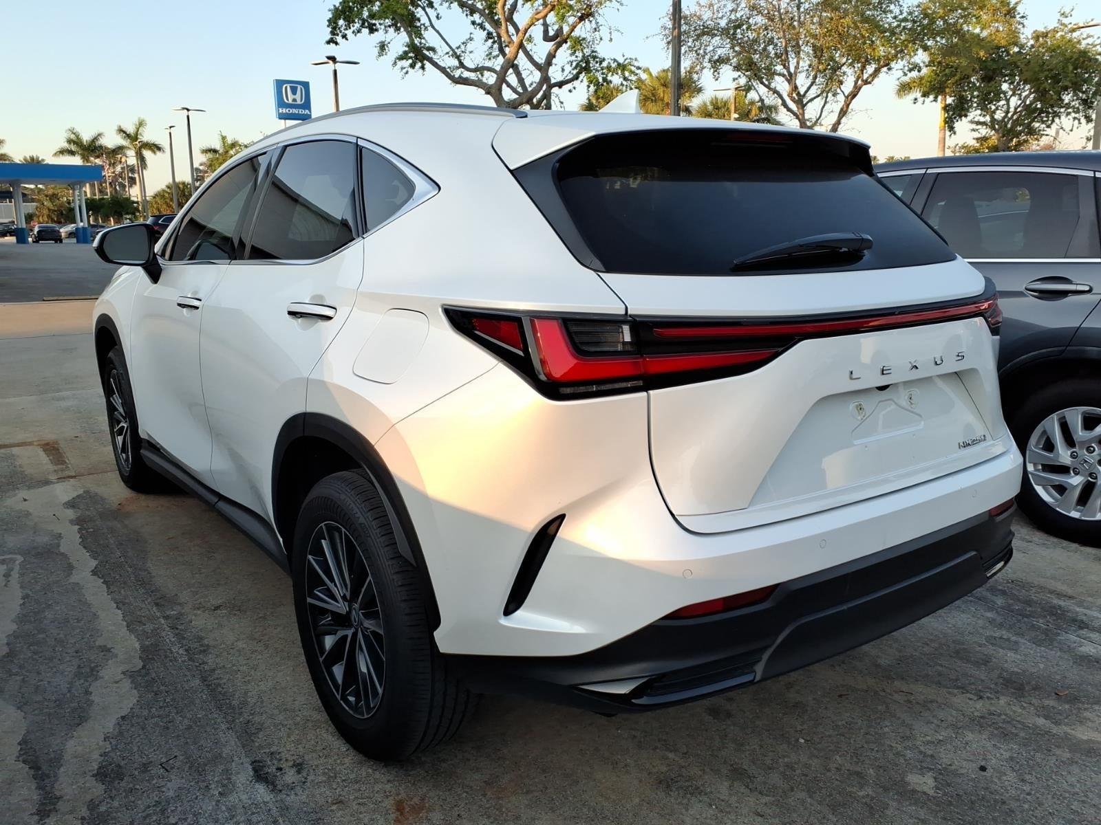 2024 Lexus NX 250 250 Premium