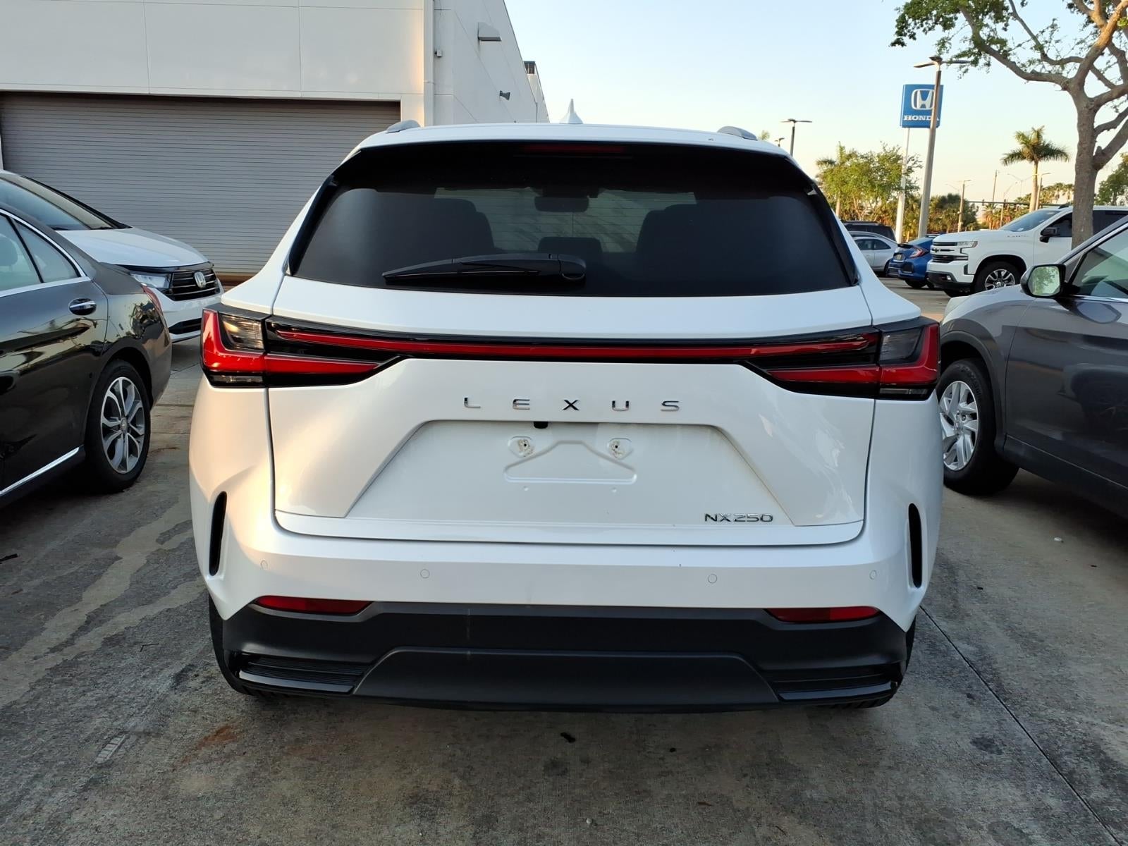 2024 Lexus NX 250 250 Premium