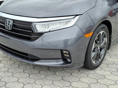 2024 Honda Odyssey Elite